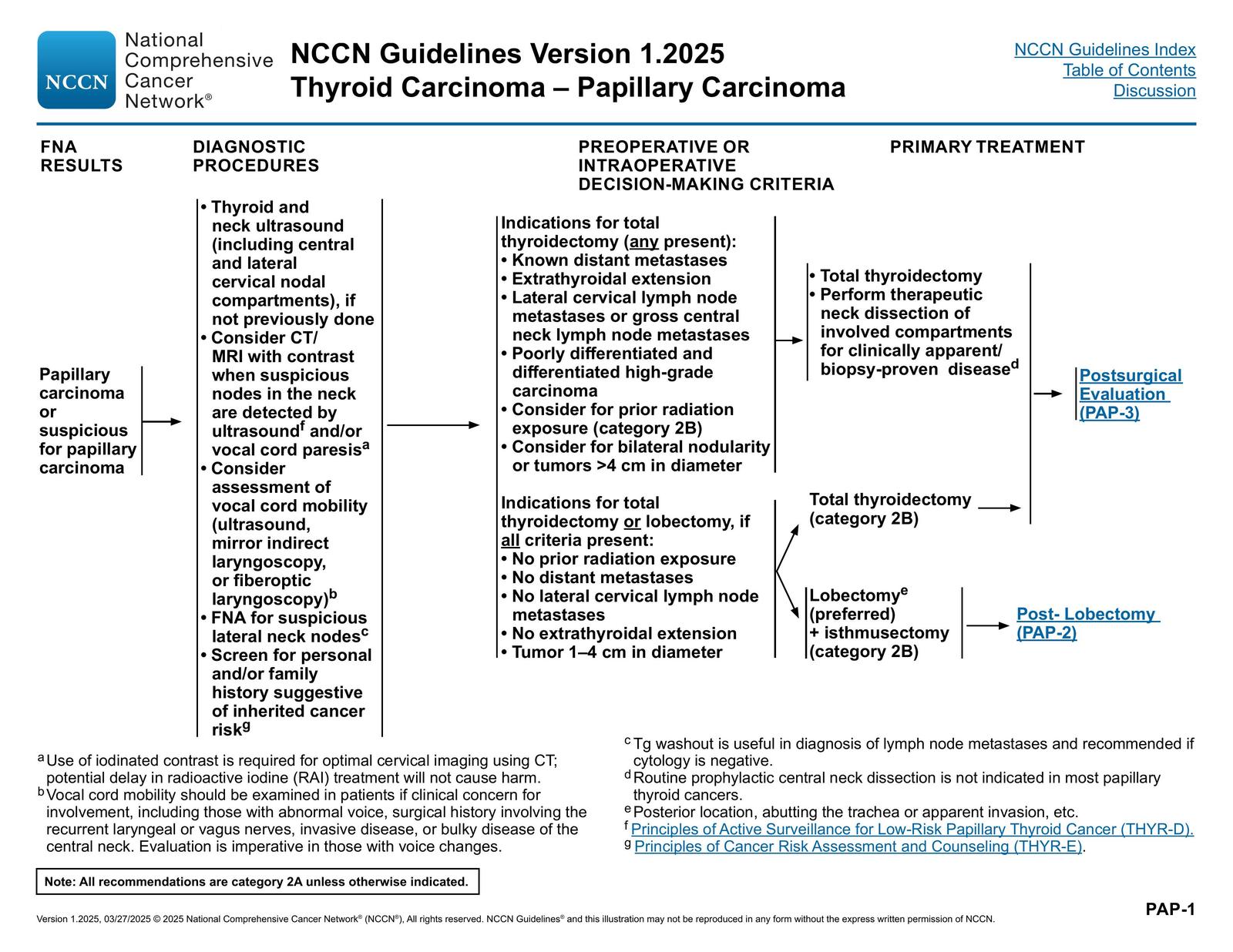 PAP-1. Papillary Carcinoma — NCCN Guidelines® — Thyroid Carcinoma p. 11 (v1.2025)